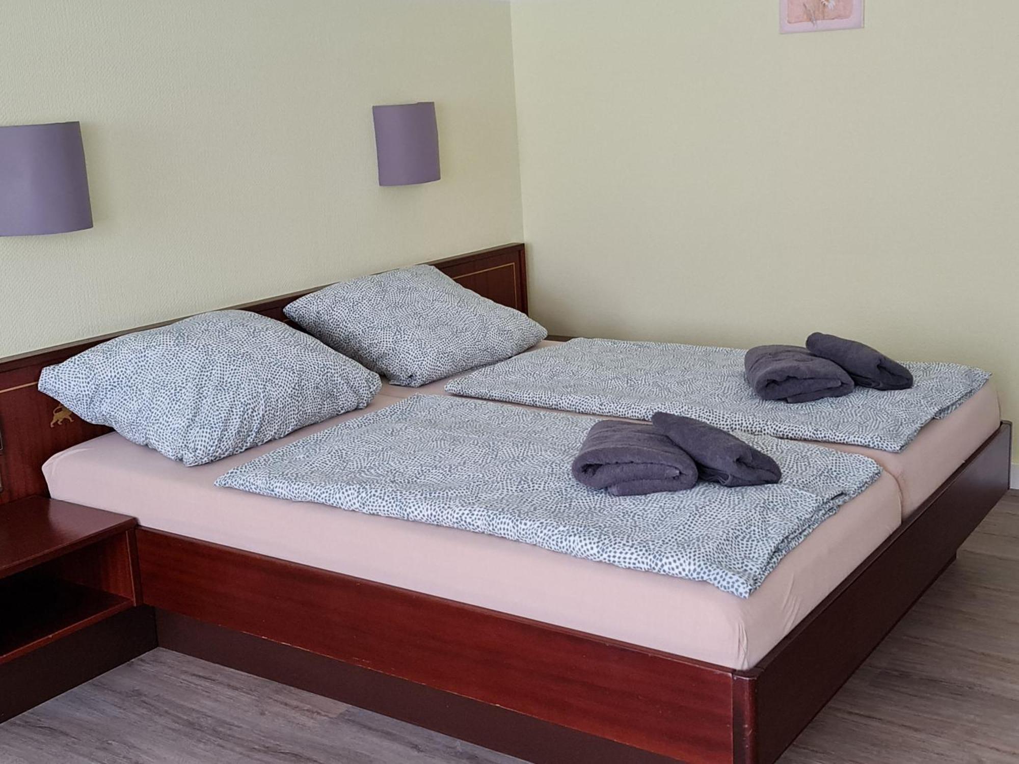 Hotel Goldener Loewe Zeulenroda-Triebes Екстериор снимка